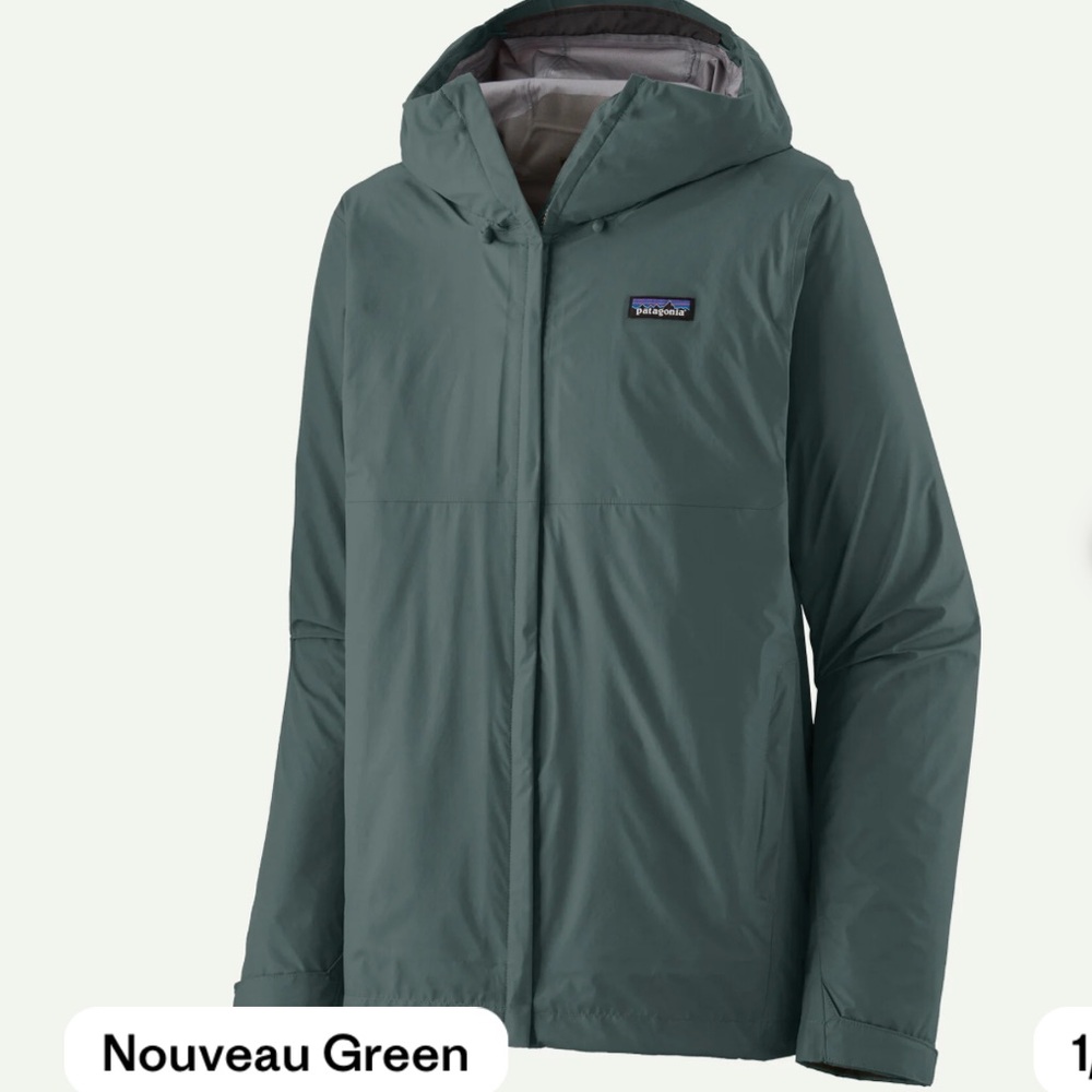 Patagonia Men's Torrentshell 3L Rain Jacket - Green